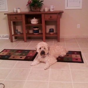 Meet your Posher, Beverly